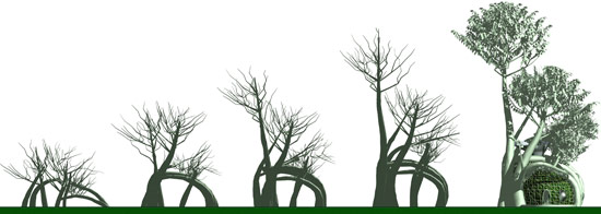 Pleaching - Fab Tree Hab