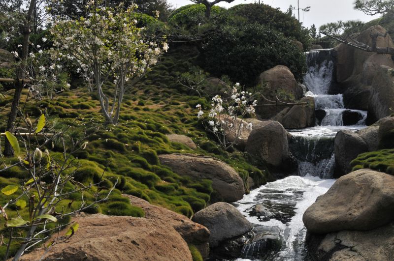La riproduzione di un fiume in un giardino giapponese