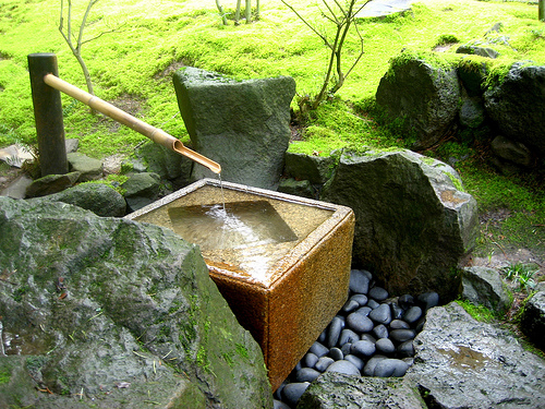 La vasca in pietra di un giardino giapponese