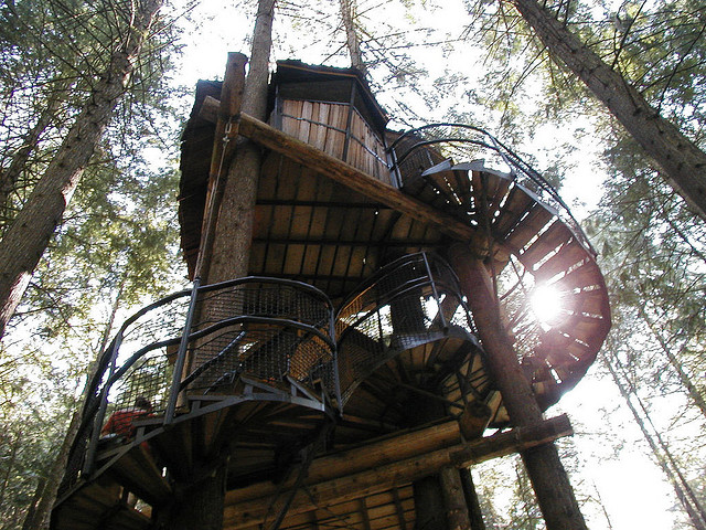 Enchanted Forest_British Columbia_La casa sull'albero più alta del mondo