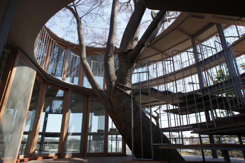 Ring Around a Tree, la struttura si snoda intorno all'albero Zekova