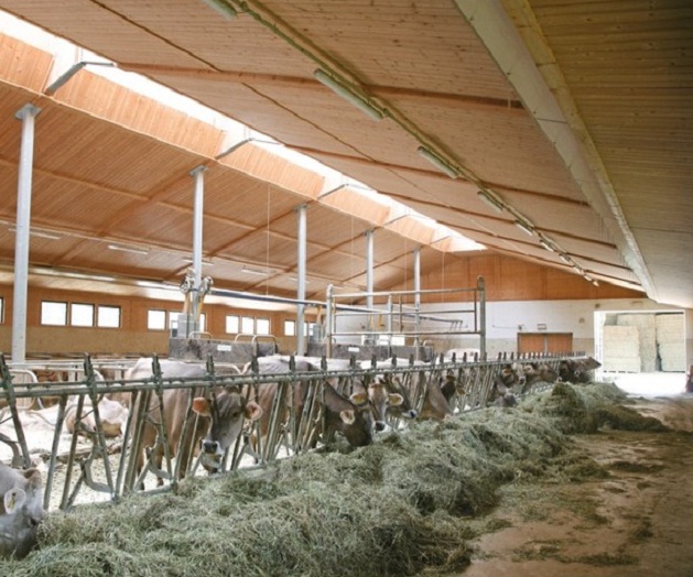 Stalla prefabbricata in legno per bovini
