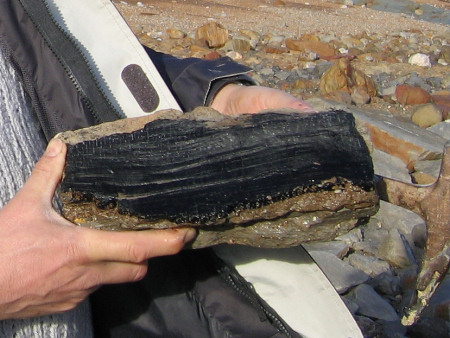 Carbonizzazione del legno