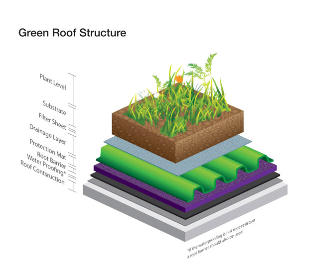 Stratificazione di un tetto verde