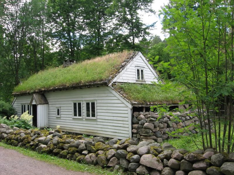 Casa con copertura verde
