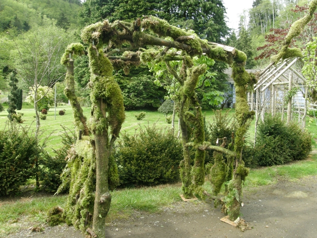 organic pergola percola bio per matrimoni