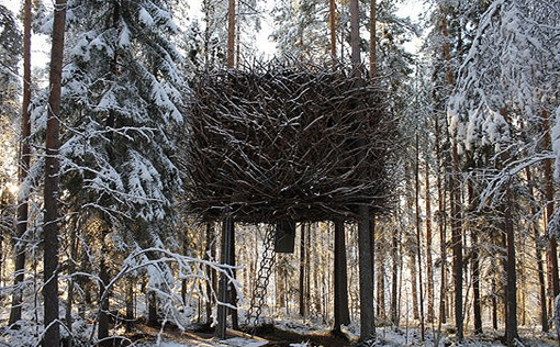 The Bird's Nest un nido gigante eco