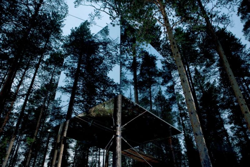 tree hotel a forma di cubo