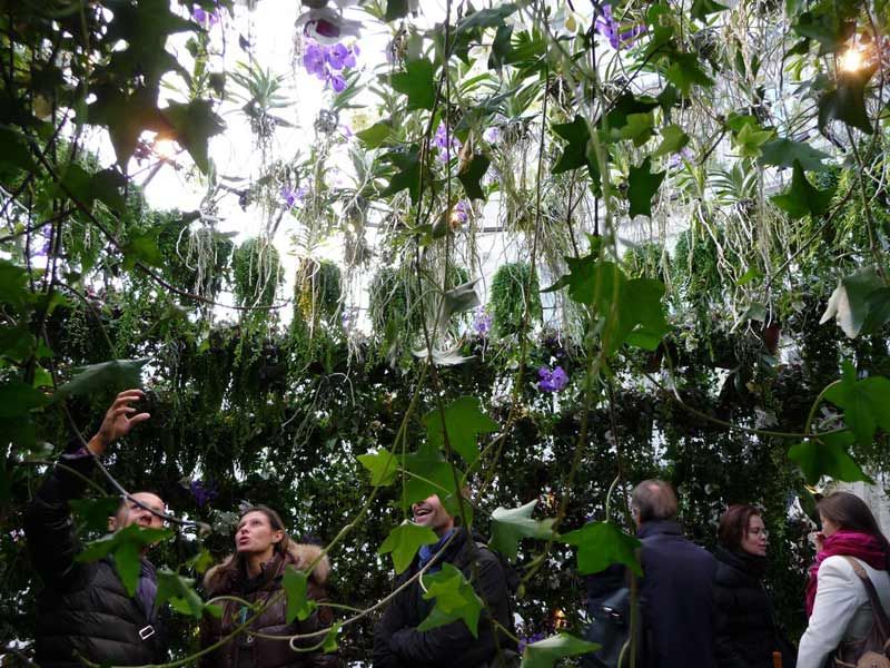 bubble in paris bolle ricche di verde
