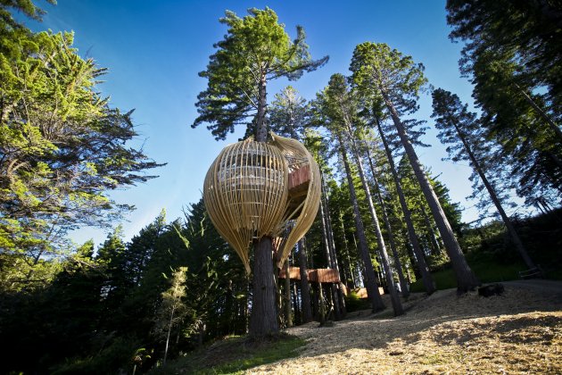 Yellow Treehouse Restaurant_Studio Pacific Environments Architects