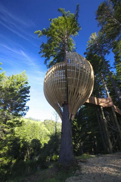 Yellow Treehouse Restaurant_Studio Pacific Environment Architects