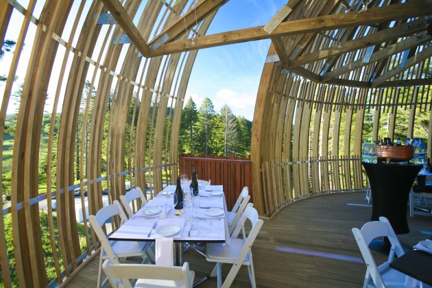 Yellow Treehouse Restaurant_Studio Pacific Environment Architects
