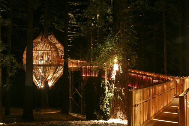 Ristorante sull'albero_Treehouse Restaurant_Pacific Environments Architects