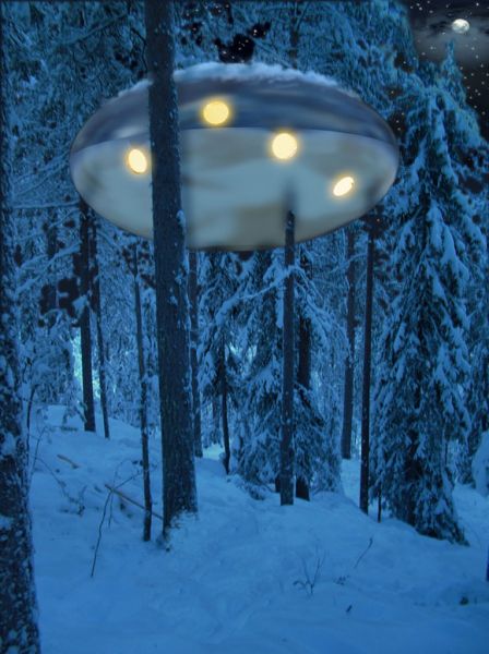 The UFO Room_Tree Hotel_Harads The UFO Room_Tree Hotel_Harads