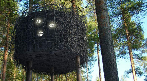 The Bir's Nest Room_Tree Hotel_Harads The Bir's Nest Room_Tree Hotel_Harads