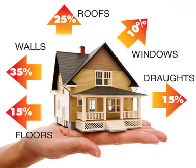 DomesticEfficiency