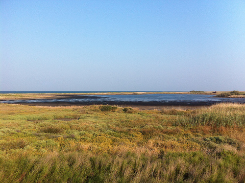 Parco Naturale Saline di Punta della Contessa