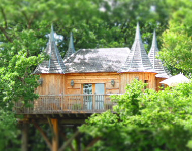 Castello sull'albero Castello sull'albero