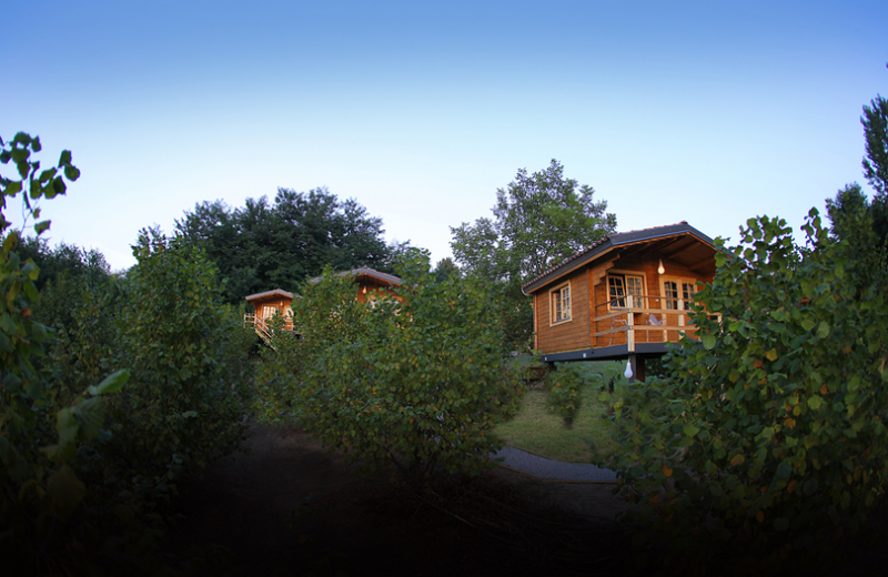 Le case sugli alberi dell'EcoLodge Langhe EcoLodge Langhe, il villaggio turistico di case sugli alberi
