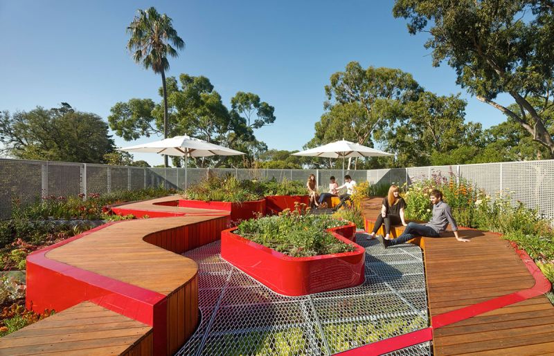 The Burnley Living Roofs Altra visione ravvicinata del giardino con le passerelle