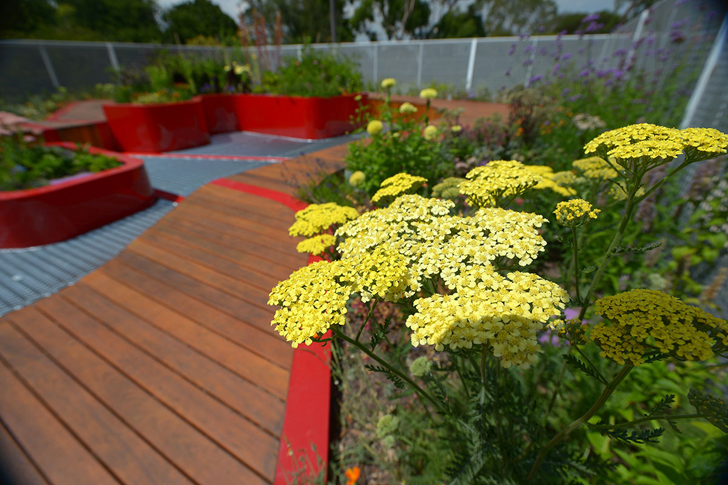 The Burnley Living Roofs The Burnley Living Roofs