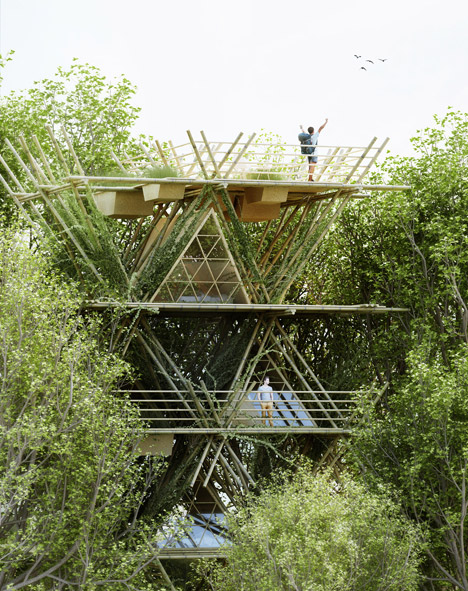 L'albergo immerso negli alberi