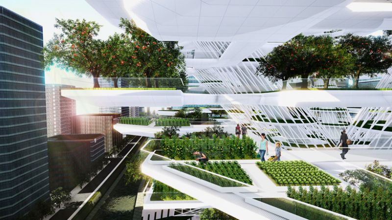 L'agricoltura del grattacielo sar&agrave; idroponica