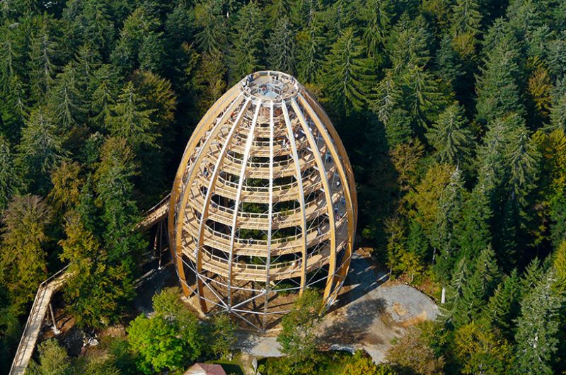 Baumwipfelpfad_Parco Nazionale della Foresta Bavarese