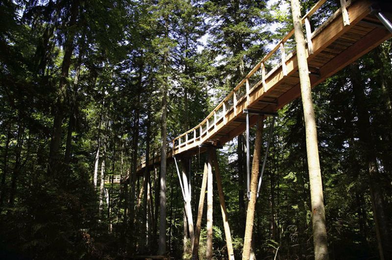 Baumwipfelpfad_Parco Nazionale della Foresta Bavarese