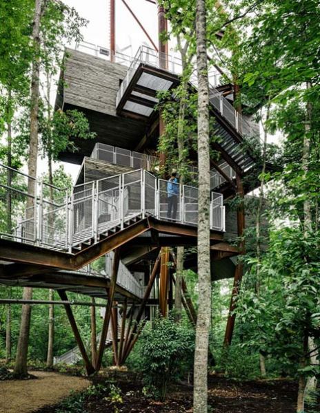Sustainability Treehouse La casa si sviluppa in verticale