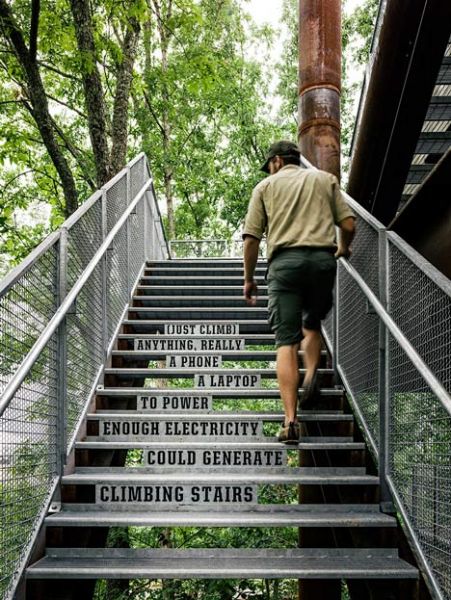 Sustainability Treehouse La scala in acciaio