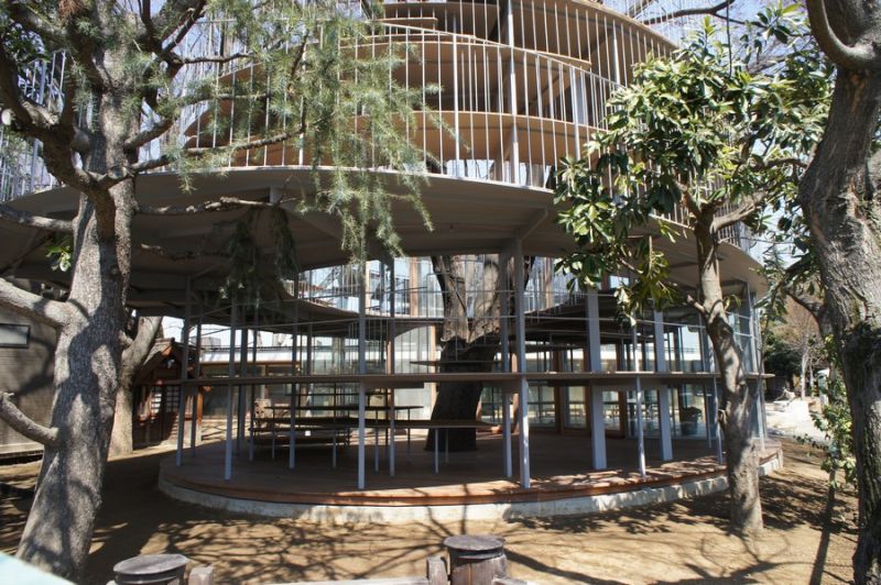 Ring Around a Tree, la struttura si armonizza all'albero Zekova