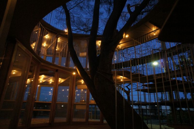 Asilo Ring Around a tree-illuminato di sera