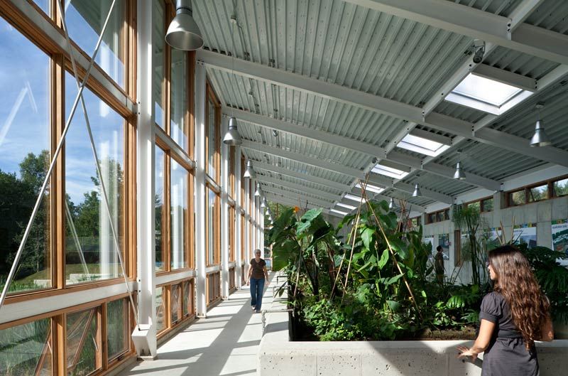 La serra all'interno dell'edificio