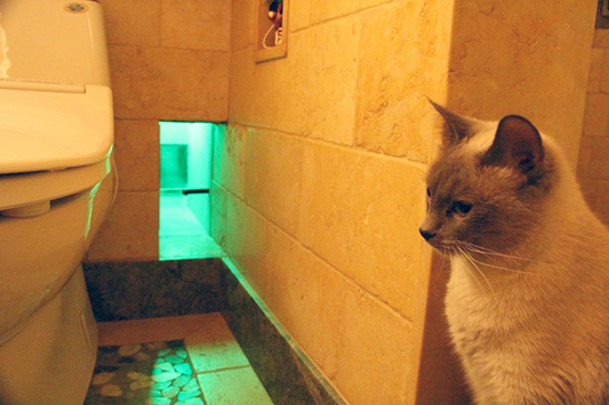 I tunnel per i gatti La casa di Peter Cohen