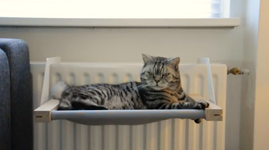 Portantino per gatti da termosifone ideato da Ralf Frickel The Woozy