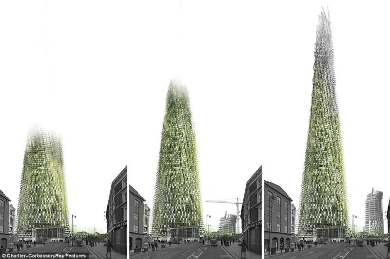 Organic Skyscraper