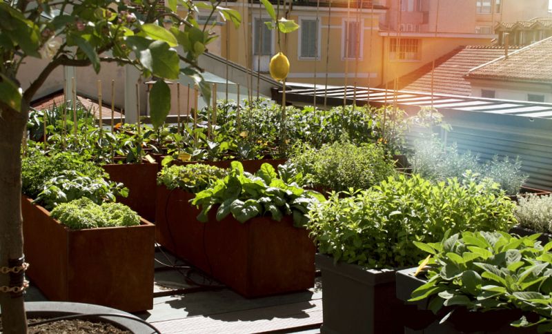 hotel eco green 
