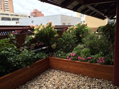 Il giardino pensile