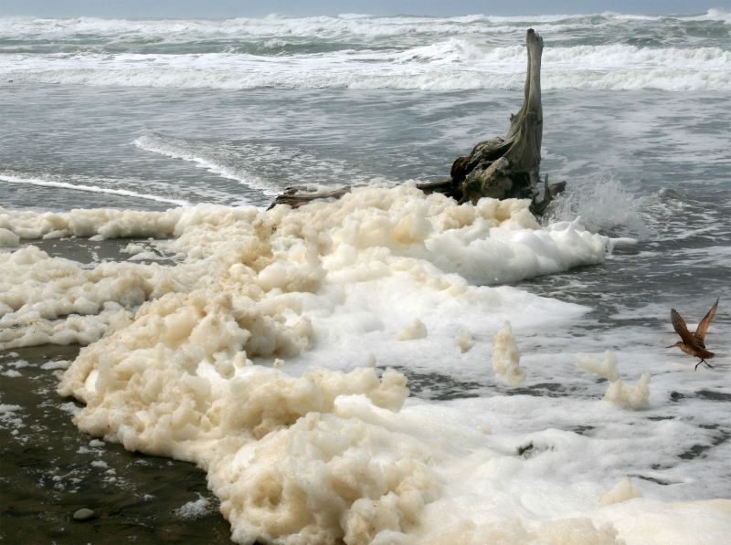 Sepiolite o schiuma di mare Sepiolite o schiuma di mare
