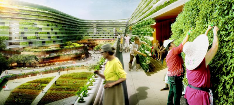 Home Farm Il complesso avrà orti idroponici e giardini pensili