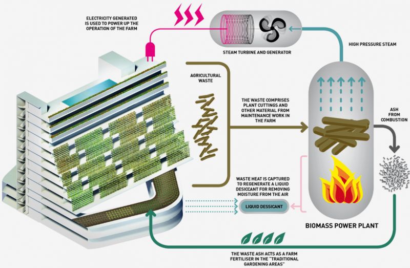 Home Farm Schema dell'impianto per la produzione di biomassa nella struttura