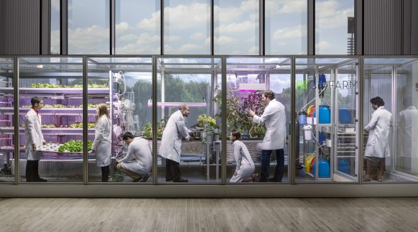 Il progetto CityFarm sviluppato dal Media Lab del MIT &egrave; partito con un modulo da 60 mq, all'interno del quale il team di ricercatori &egrave; riuscito a produrre in un mese ortaggi necessari al sostentamento di 300 persone