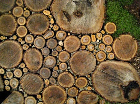 legno bio