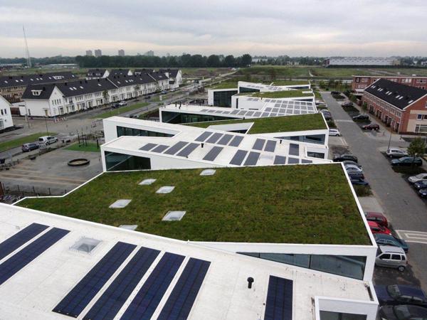 Zoetermeer Green School by seARCH, vista della copertura sfalsata, si alterna in tetto giardino e pannelli fotovoltaici Zoetermeer Green School by seARCH, vista della copertura sfalsata, si alterna in tetto giardino e pannelli fotovoltaici